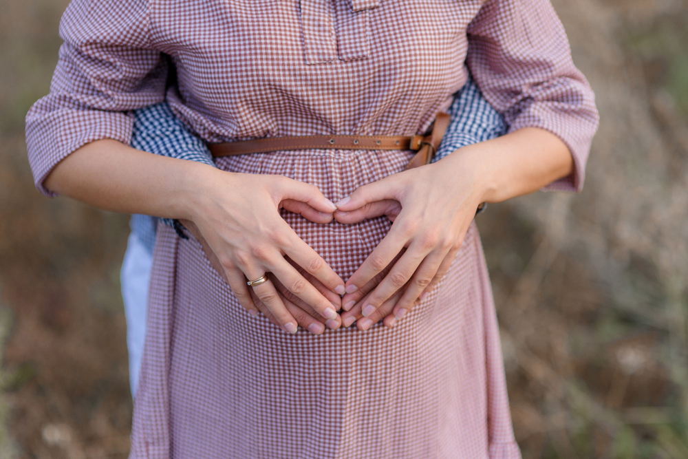 What are the Causes and Risks of Twin Pregnancy (Multiple Pregnancy)?