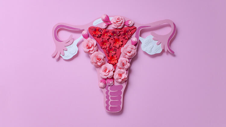 Genital Estetik ve İyileşme Süreci